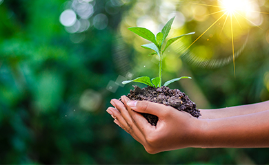 Kim Tín Group hưởng ứng ngày môi trường thế giới 2012