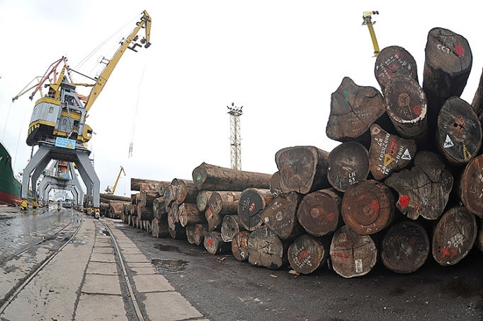 Tháo gỡ khó khăn, đảm bảo tính hợp pháp cho việc nhập khẩu gỗ từ châu Phi